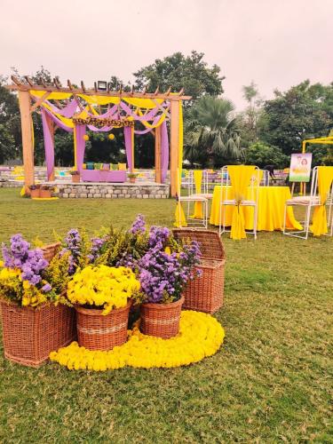 Lavender Theme Haldi Event