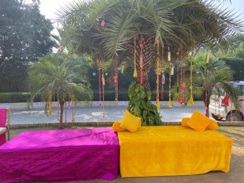 Haldi & Mehndi Events